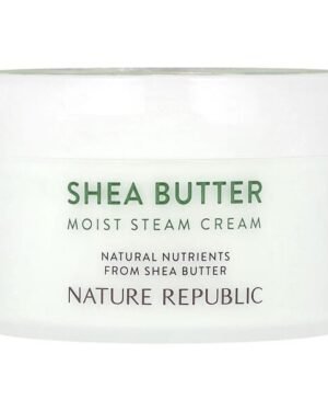 Nature Republic, Shea Butter, Moist Steam Cream, 3.38 fl oz (100 ml)