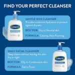 Cetaphil Gentle Foaming Cleanser 236g