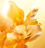 J'ADORE L'OR – Solar and Intense Floral Fragrance by Dior - Image 3