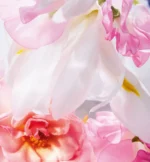 MISS DIOR EAU DE PARFUM - floral and fresh notes - Image 3