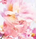 Miss Dior Blooming Bouquet Eau de Toilette – Fresh & Tender Floral Fragrance - Image 2